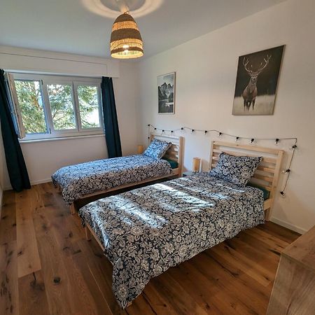 Appartement Spacieux Au Centre De La Gruyere Broc Dış mekan fotoğraf