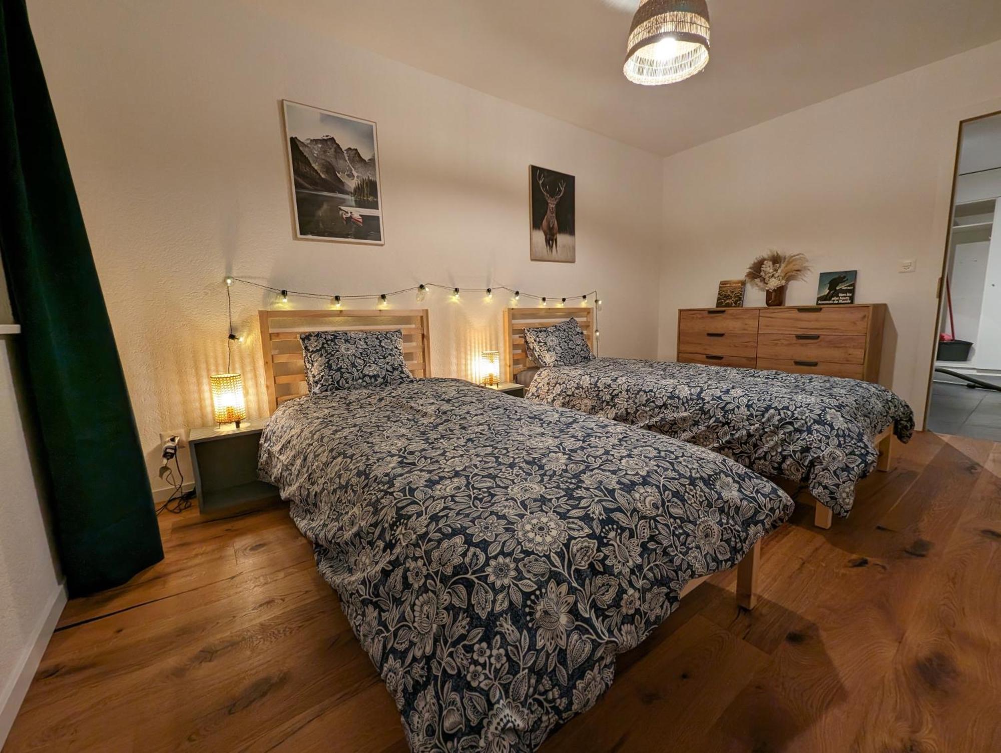 Appartement Spacieux Au Centre De La Gruyere Broc Dış mekan fotoğraf